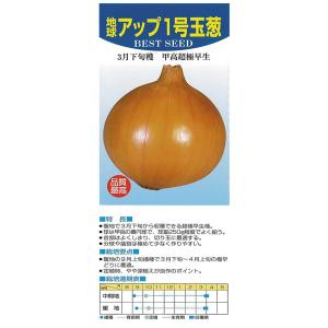 アカヲ育成 アップ1号 20ml  玉ねぎ たまねぎ 玉葱 タマネギ【アカヲ 種 たね タネ】【通常...