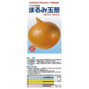 まるみ コート1万粒  玉ねぎ たまねぎ 玉葱 タマネギ アカヲ交配 【アカヲ 種 たね タネ】【通...