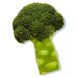 SK9-099 ブロッコリー種子 ペレット5000粒 【野菜種子】【サカタ