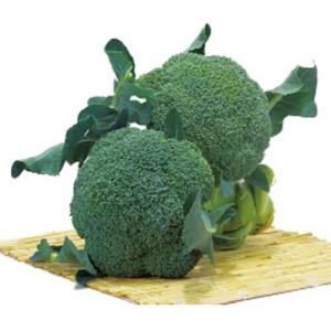 SK9-099 ブロッコリー種子 2000粒 【野菜種子】【サカタのタネ