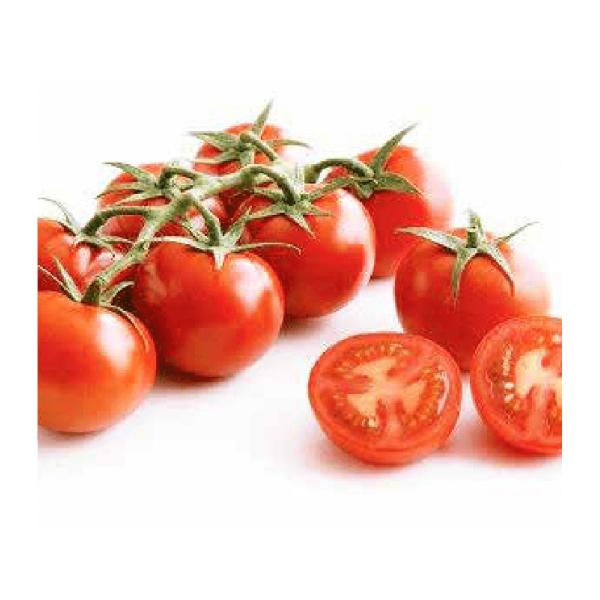 カンパリ 500粒 トマト とまと 中玉トマト【エンザの種 種 たね タネ】【通常5倍 5のつく日は...