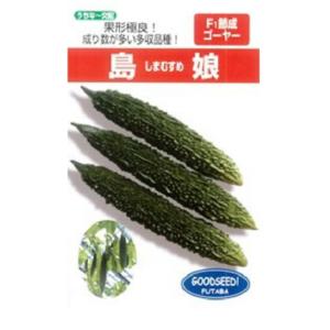 島娘 100粒 ニガウリ にがうり 苦瓜【フタバ 種 たね タネ】【通常5倍 5のつく日はポイント1...