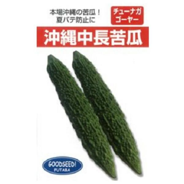 沖縄中長ゴーヤー 1L ニガウリ にがうり 苦瓜【フタバ 種 たね タネ】【通常5倍 5のつく日はポ...