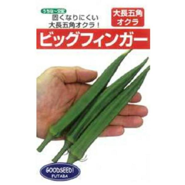 ビッグフィンガー 1L オクラ おくら 【フタバ 種 たね タネ】【通常5倍 5のつく日はポイント1...