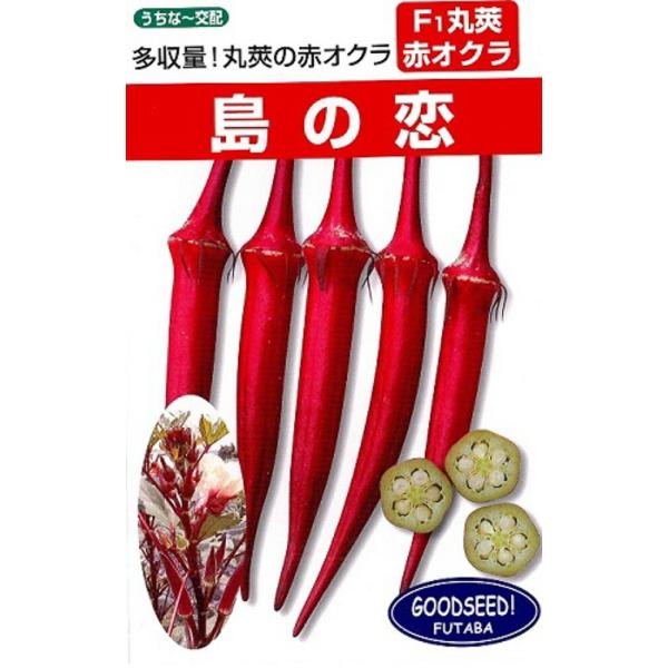 島の恋 1L オクラ おくら 【フタバ 種 たね タネ】【通常5倍 5のつく日はポイント10倍】
