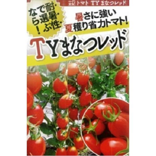 TYまなつ レッド 100粒 トマト とまと 蕃茄【フタバ 種 たね タネ】【通常5倍 5のつく日は...