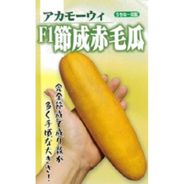 F1節成赤毛瓜 100粒 ウリ うり 瓜【フタバ 種 たね タネ】【通常5倍 5のつく日はポイント1...
