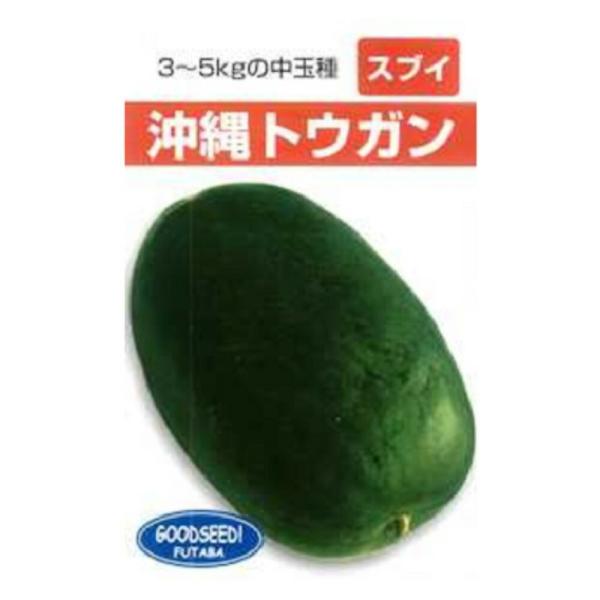 沖縄 冬瓜 1DL ウリ うり 瓜【フタバ 種 たね タネ】【通常5倍 5のつく日はポイント10倍】