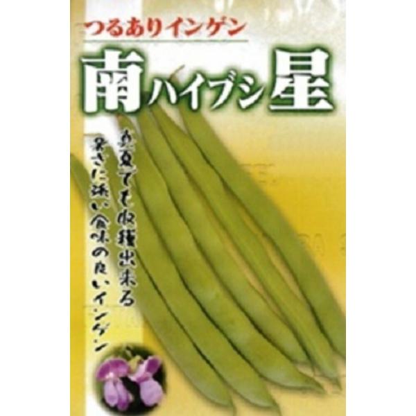 南星(ハイブシ) 1l 豆 マメ まめ 鞘隠元 サヤインゲン さやいんげん【フタバ 種 たね タネ】...