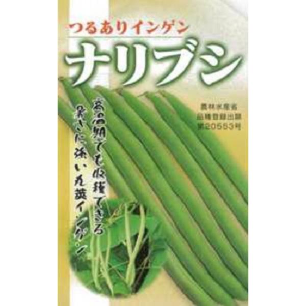 【次回2024年1月以降】ナリブシ 1l 豆 マメ まめ 鞘隠元 サヤインゲン さやいんげん【フタバ...