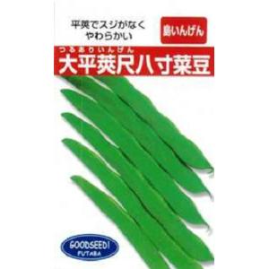 沖縄 島インゲン 1l 豆 マメ まめ 鞘隠元 サヤインゲン さやいんげん【フタバ 種 たね タネ】...
