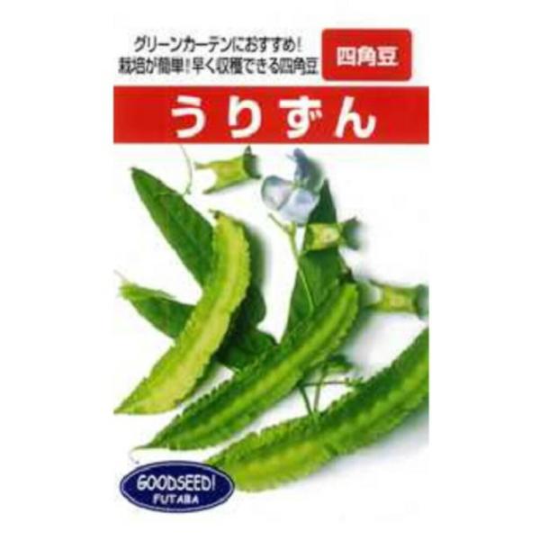四角豆 うりずん 1l 豆 マメ まめ 豆 マメ まめ【フタバ 種 たね タネ】【通常5倍 5のつく...
