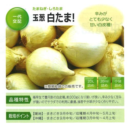 白たま! 20ml  玉ねぎ たまねぎ 玉葱 タマネギ【フタバ 種 たね タネ】【通常5倍 5のつく...