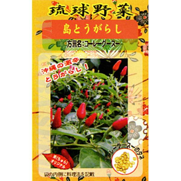 沖縄 島とうがらし 20ml 唐辛子 とうがらし トウガラシ【フタバ 種 たね タネ】【通常5倍 5...