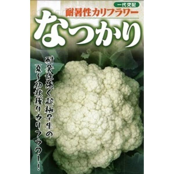 なつかり 20ml カリフラワー【フタバ 種 たね タネ】【通常5倍 5のつく日はポイント10倍】