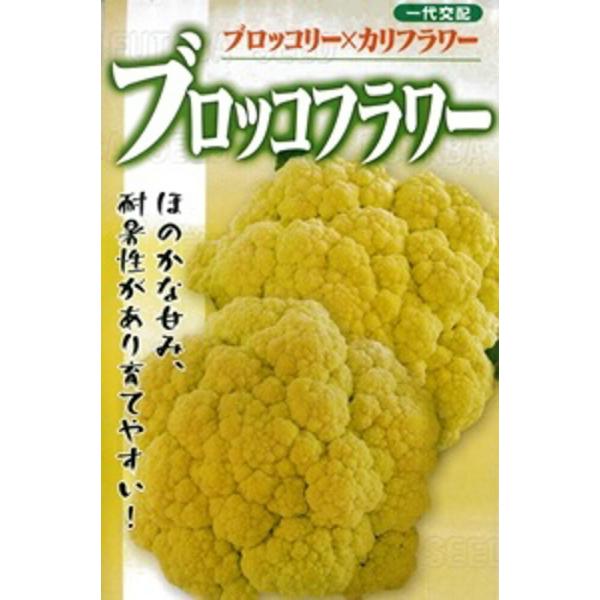 ブロッコフラワー 20ml カリフラワー【フタバ 種 たね タネ】【通常5倍 5のつく日はポイント1...