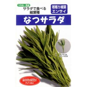 なつサラダ 1l エンサイ えんさい【フタバ 種 たね タネ】【通常5倍 5のつく日はポイント10倍】｜jvsds