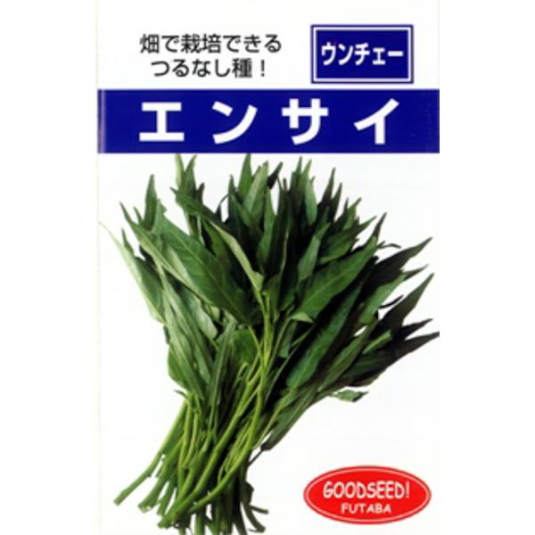 つるなしエンサイ 1l エンサイ えんさい【フタバ 種 たね タネ】【通常5倍 5のつく日はポイント...