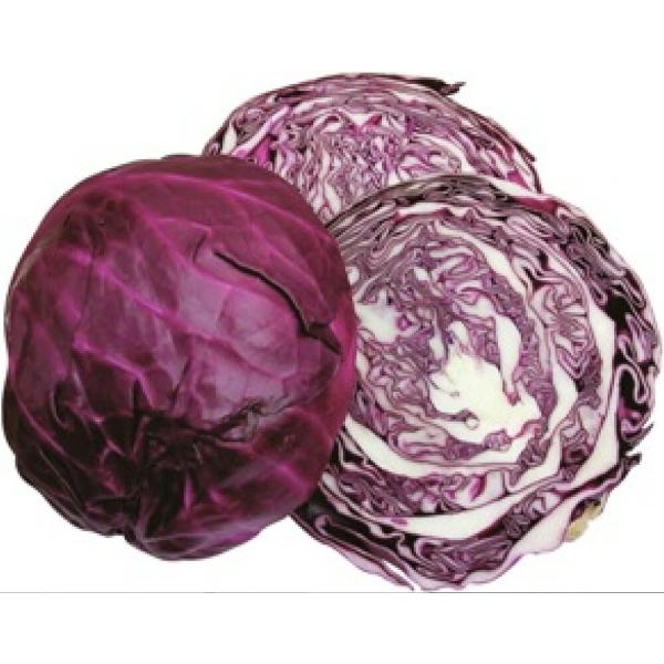 大玉紅藍 20ml キャベツ【フタバ 種 たね タネ】【通常5倍 5のつく日はポイント10倍】