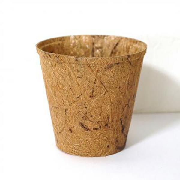 3号ポット(ココピート/天然ヤシガラ素材)100個 400 スプラウト栽培 専用ジャー 栽培キット【...