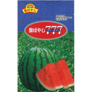 祭ばやし777 大玉スイカ 200粒 スイカ すいか 西瓜【萩原農場 種 たね タネ】【通常5倍 5...