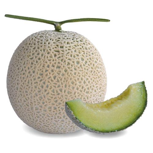 アールスヴェルダ  初夏系 メロン 100粒 めろん メロン 舐瓜【萩原農場 種 たね タネ】【通常...