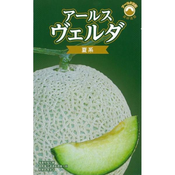 アールスヴェルダ  夏系  メロン 100粒 めろん メロン 舐瓜【萩原農場 種 たね タネ】【【通...