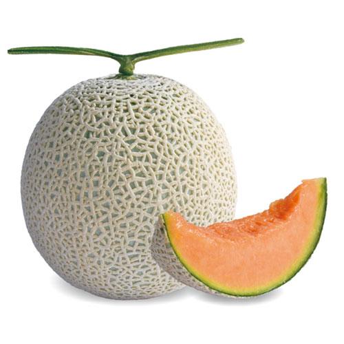 アールスヴェロッサ 春秋系 メロン 100粒 めろん メロン 舐瓜【萩原農場 種 たね タネ】【通常...