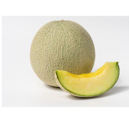 ディーバ 100粒 めろん メロン 【萩原農場 種 たね タネ】【通常5倍 5のつく日はポイント10...