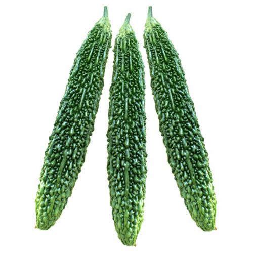 美味 100粒 ニガウリ にがうり 苦瓜【小林種苗 種 たね タネ】【通常5倍 5のつく日はポイント...