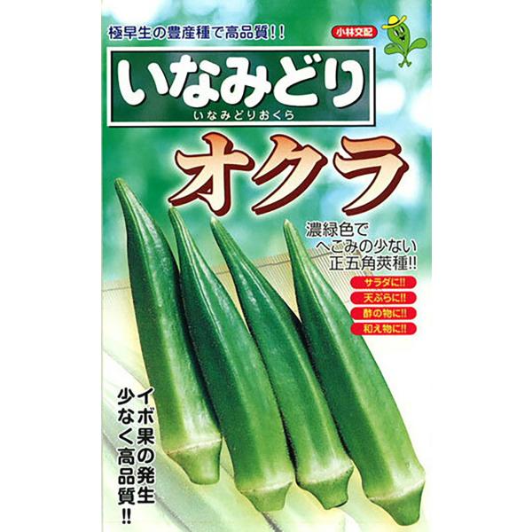 いなみどり 1dl オクラ おくら 【小林種苗 種 たね タネ】【通常5倍 5のつく日はポイント10...