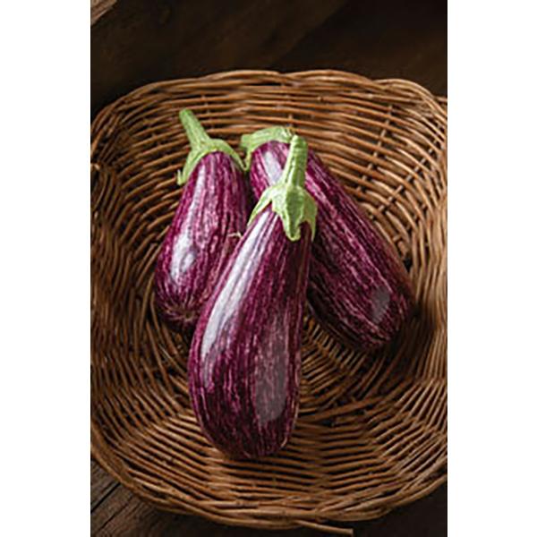 とげなししまじろう 100粒 ナス なす 茄子【小林種苗 種 たね タネ】【通常5倍 5のつく日はポ...