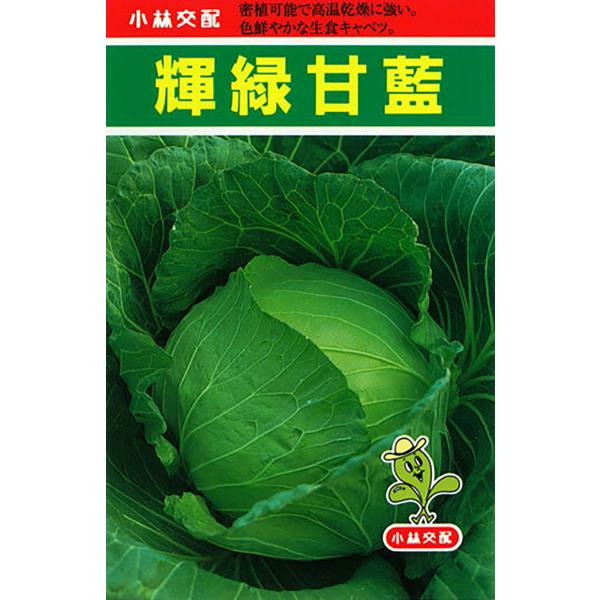 輝緑 20ml キャベツ【小林種苗 種 たね タネ】【通常5倍 5のつく日はポイント10倍】