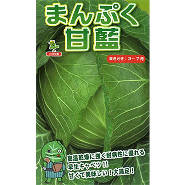 まんぷく コートL5000粒 キャベツ【小林種苗 種 たね タネ】【通常5倍 5のつく日はポイント1...
