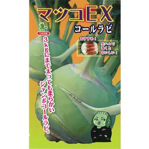 コート種子 ブロッコリー SK9-099 5000 + 500粒 サカタのタネ SK9-099 ブロッコリー種子 ペレット5000粒 【野菜種子】【サカタのタネ