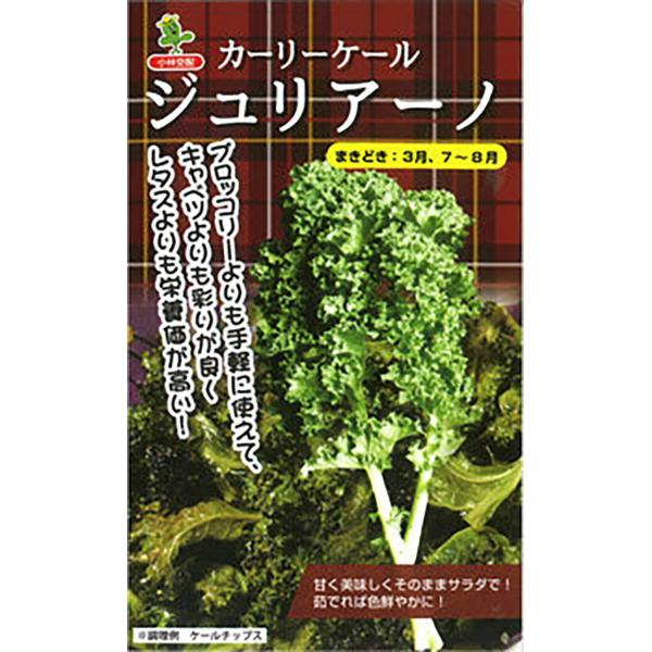 ジュリアーノ 2000粒 ケール けーる【小林種苗 種 たね タネ】【通常5倍 5のつく日はポイント...