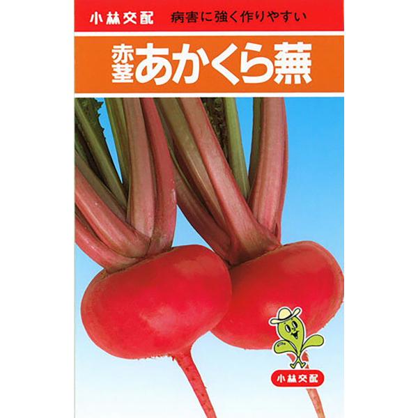 赤茎あかくら PVP 20ml かぶ カブ 蕪【小林種苗 種 たね タネ】【通常5倍 5のつく日はポ...