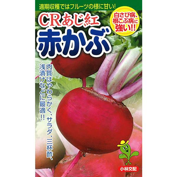 CRあじ紅 20ml かぶ カブ 蕪【小林種苗 種 たね タネ】【通常5倍 5のつく日はポイント10...