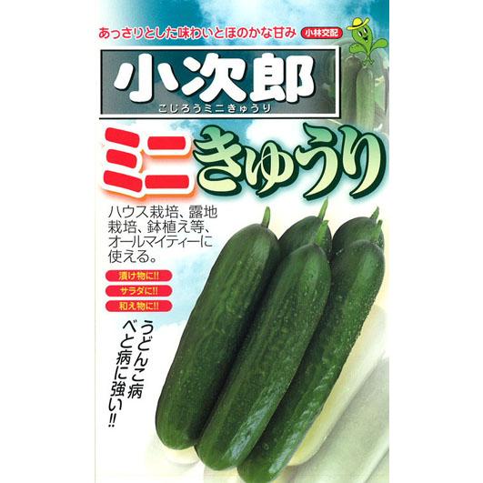小次郎 100粒 キュウリ きゅうり　胡瓜【小林種苗 種 たね タネ】【通常5倍 5のつく日はポイン...