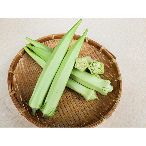 ネバトロ王子 1L オクラ おくら 【小林種苗 種 たね タネ】【通常5倍 5のつく日はポイント10...