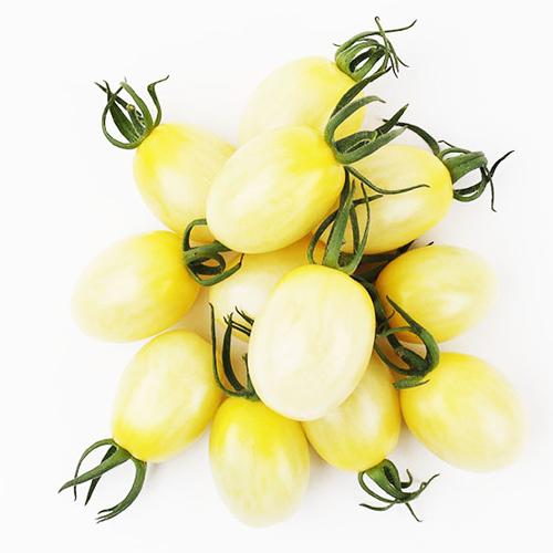 TYプリモホワイト 100粒 ミニトマト トマト とまと 蕃茄【小林種苗 種 たね タネ】【通常5倍...