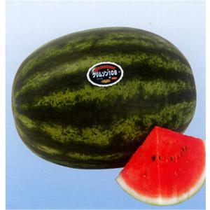 クリムゾン108 100粒 スイカ すいか 西瓜【神田育種農場 種 たね タネ 】【通常5倍 5のつ...