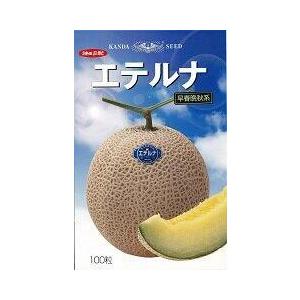 エテルナ(春秋系) 100粒 めろん メロン 舐瓜【神田育種農場 種 たね タネ 】【通常5倍 5の...