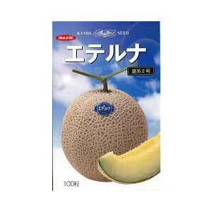 エテルナ(夏系2号) 100粒 めろん メロン 舐瓜【神田育種農場 種 たね タネ 】【通常5倍 5...