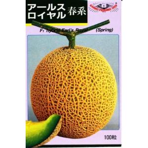 アールスロイヤル春系 100粒 めろん メロン 舐瓜【神田育種農場 種 たね タネ 】【通常5倍 5...