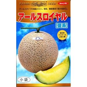 アールスロイヤル夏系 100粒 めろん メロン 舐瓜【神田育種農場 種 たね タネ 】【通常5倍 5...