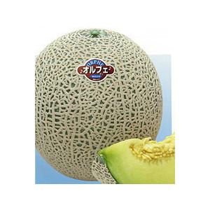 オルフェ 100粒 めろん メロン 舐瓜【神田育種農場 種 たね タネ 】【通常5倍 5のつく日はポ...