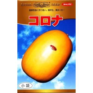 コロナまくわ 10ml ウリ うり 瓜【神田育種農場 種 たね タネ 】【通常5倍 5のつく日はポイ...