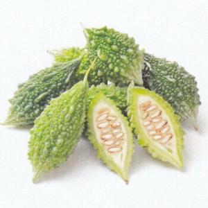 みにがうり 500粒 ニガウリ にがうり 苦瓜【神田育種農場 種 たね タネ 】【通常5倍 5のつく...