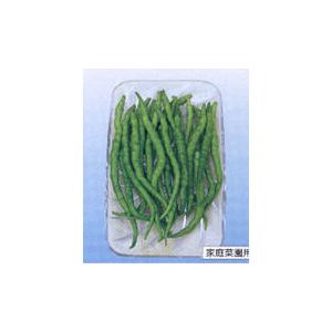 水引とうがらし 20ml 唐辛子 とうがらし トウガラシ【神田育種農場 種 たね タネ 】【通常5倍...